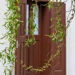 Hotel Loreta